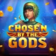 Chosen by the GodsEvoplay