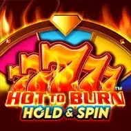 Hot to Burn Hold and SpinPragmatic Play game cover